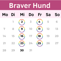 Buchungsplan für Braver Hund Intensivkurs