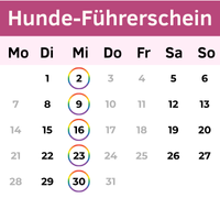 Buchungskalender Hunde-Führerschein