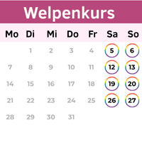 Buchungskalender Welpenkurs